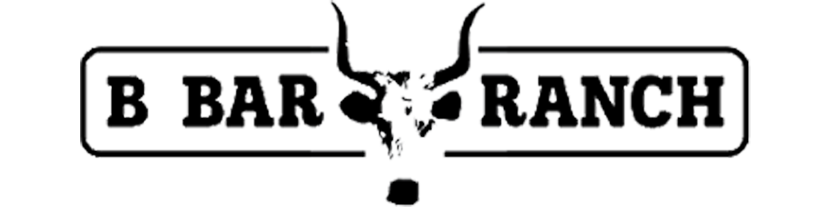 BBar logo